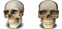 Desktop Icons Set Skulls by J.Cella
