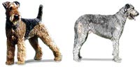 Desktop Icons Set Dogs vol. 3 by akitharo