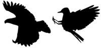 Desktop Icons Set Bird Silhouettes by strawberried