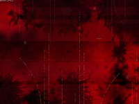 High-resolution desktop wallpaper Red Algae by FR4NK