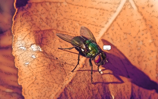 High-resolution desktop wallpaper Dot-dot-fly by Andy Purviance