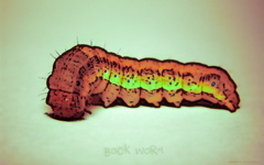 High-resolution desktop wallpaper Book Worm by Andy Purviance