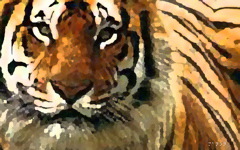 High-resolution desktop wallpaper Tiger Tiger Burning Bright by Manon Michel