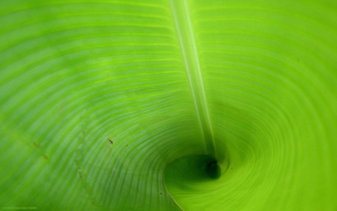 High-resolution desktop wallpaper Green Tube by Aurelien Le Roux