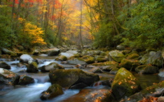 High-resolution desktop wallpaper Fall in Tennessee by TheFozz