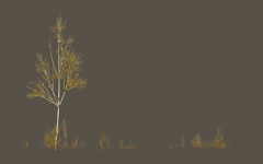 High-resolution desktop wallpaper Twilight Tree by lagroue