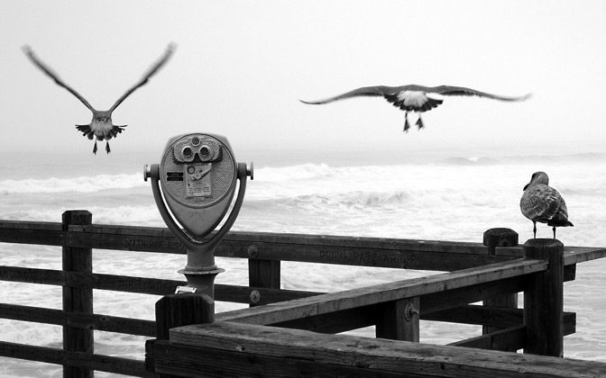 High-resolution desktop wallpaper Three Birds on a Pier by Muadeeb