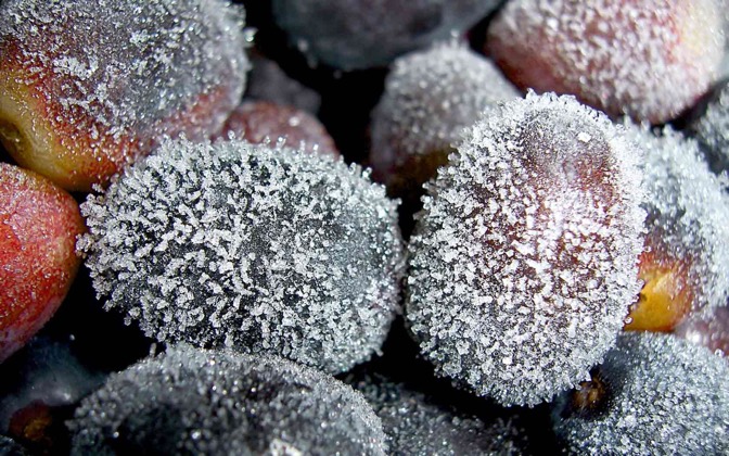 High-resolution desktop wallpaper Frozen Grapes by jonaben
