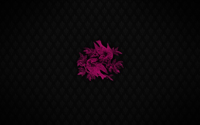 High-resolution desktop wallpaper Pink Birds by Benoit Vanneuville- BeWa