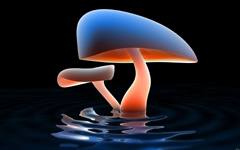 High-resolution desktop wallpaper Mushroom Lake by mpan3