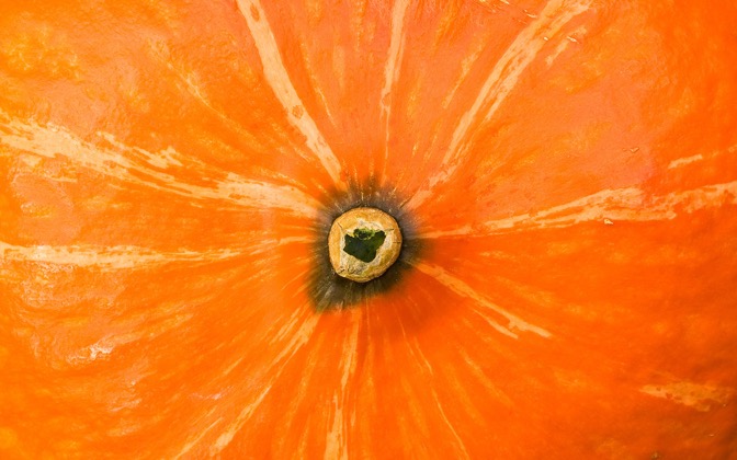 High-resolution desktop wallpaper Gourd 02 by Mike Swanson