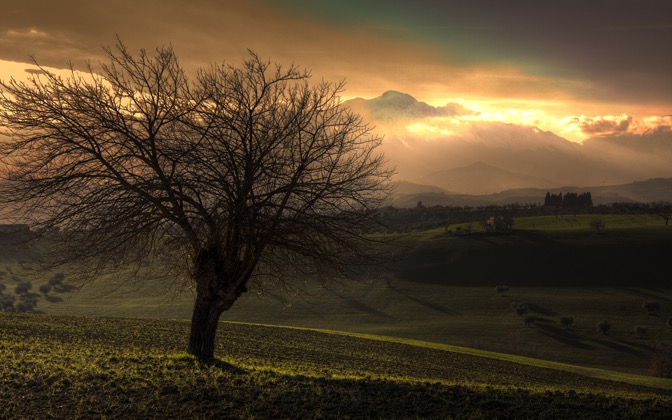High-resolution desktop wallpaper Tree and the Mountain by Giovanni Di Gregorio