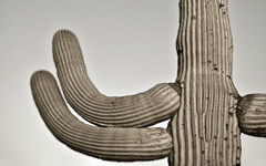 High-resolution desktop wallpaper Gates Pass Saguaro by cwaggins