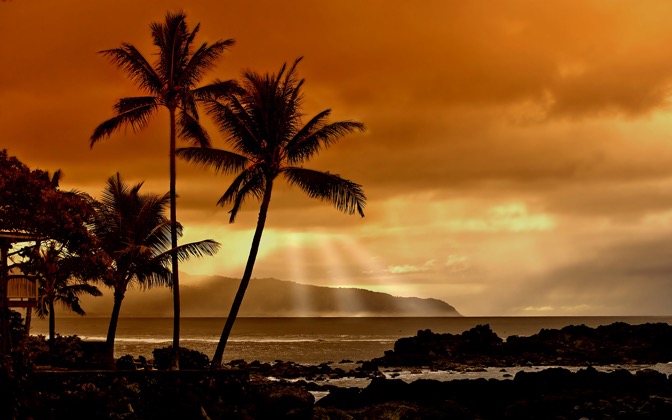 High-resolution desktop wallpaper Sunset in the Tropics by Arsenal