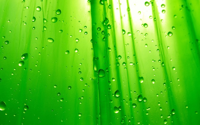 High-resolution desktop wallpaper Green Simplicity by Atlas