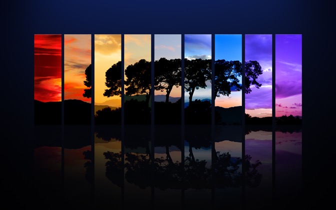 High-resolution desktop wallpaper Spectrum of a Tree by Dominic Kamp