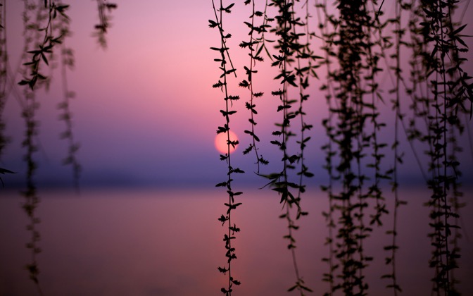 High-resolution desktop wallpaper West Lake at Sunset by wario