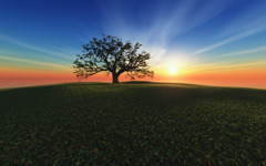 High-resolution desktop wallpaper Sunset Hill by Richard Mohler