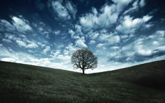 High-resolution desktop wallpaper Oak Tree Hill by Dominic Kamp