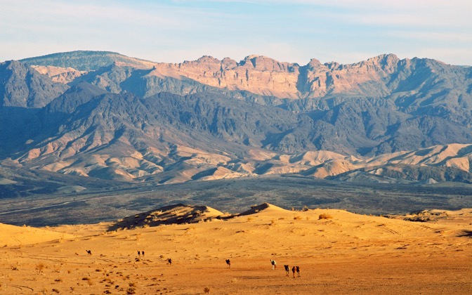 High-resolution desktop wallpaper Ships of the Desert by leviyan