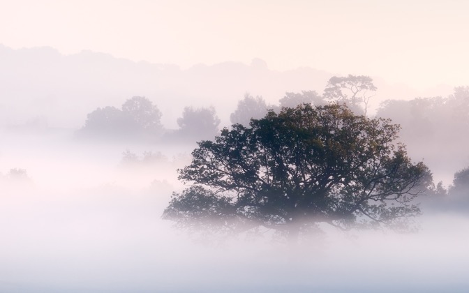 High-resolution desktop wallpaper Morning Mist by DiscoV8