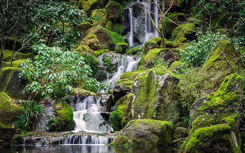 High-resolution desktop wallpaper The Japanese Gardens by jdphotopdx