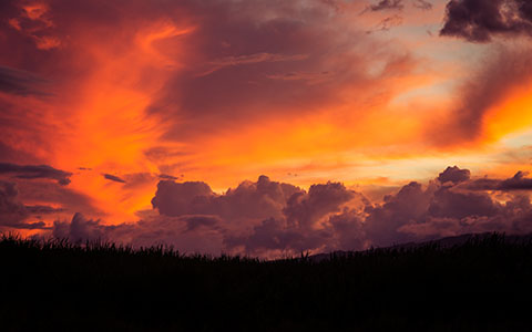 High-resolution desktop wallpaper Tangerines in the Sky by jdphotopdx