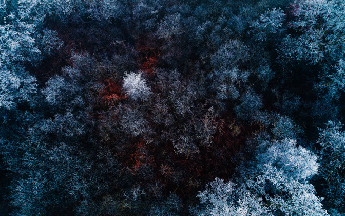 High-resolution desktop wallpaper The Red Ice Forest by Luukdek
