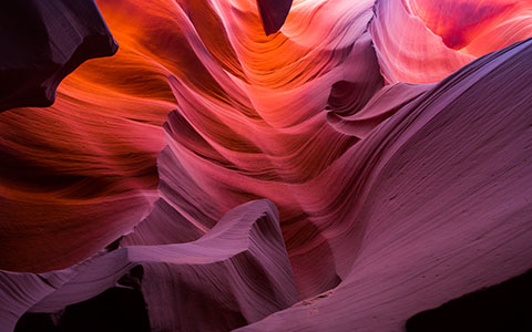 High-resolution desktop wallpaper Shades of Nature by Philippe Clairo